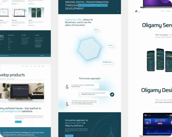 Oligamy Software redesign conclusion and future plans