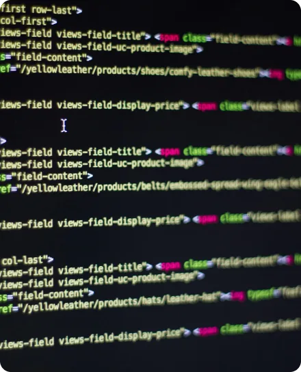 web-development
