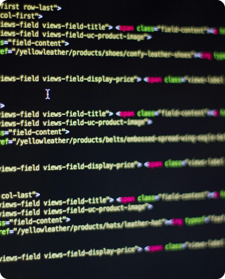 oligamy-presence-coding